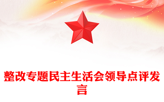 整改专题民主生活会领导点评发言
