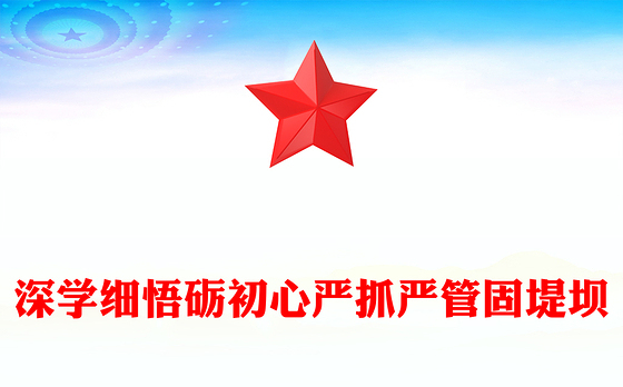 精品深学细悟砺初心严抓严管固堤坝党的作风建设党课PPT(讲稿)