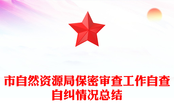市自然资源局保密审查工作自查自纠情况总结