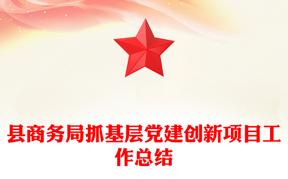 县商务局抓基层党建创新项目工作总结