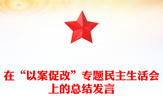 在“以案促改”专题民主生活会上的总结发言