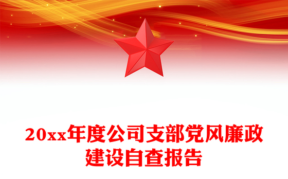 20xx年度公司支部党风廉政建设自查报告