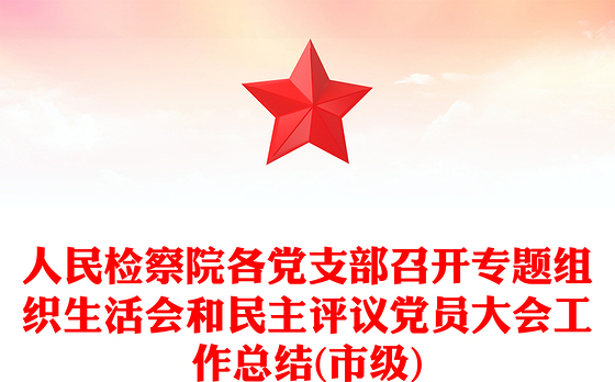 人民检察院各党支部召开专题组织生活会和民主评议党员大会工作总结(市级)