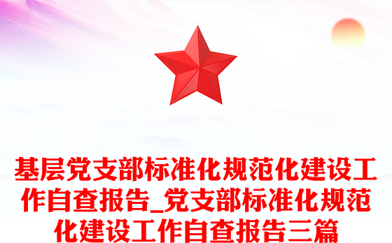 基层党支部标准化规范化建设工作自查报告_党支部标准化规范化建设工作自查报告三篇