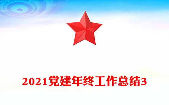 2021党建年终工作总结3