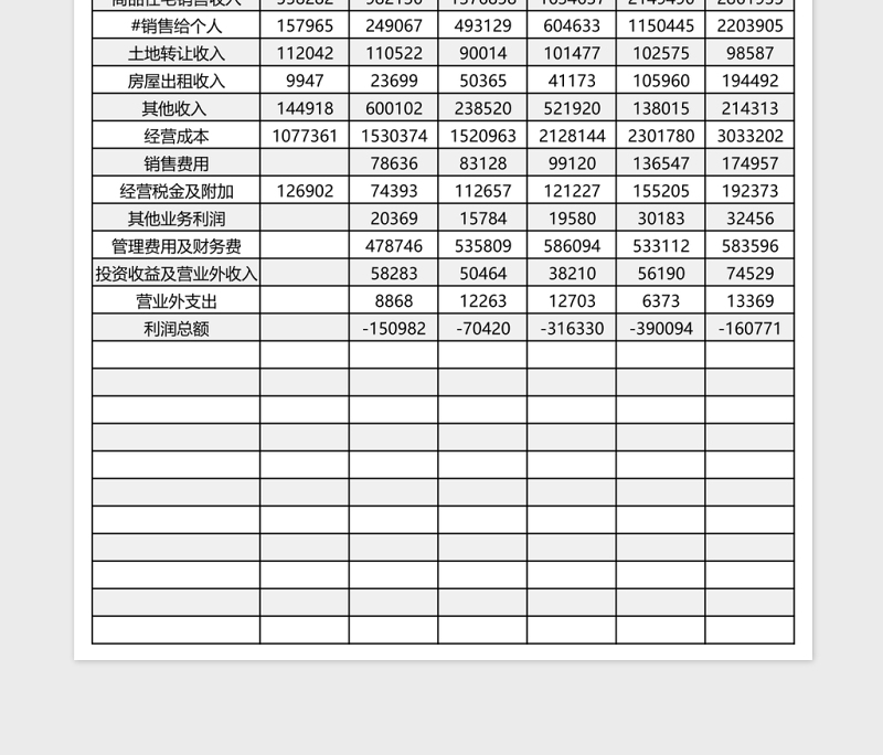 房地产开发企业财务状况Excle表格