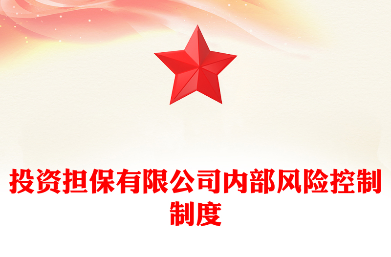 投资担保有限公司内部风险控制制度