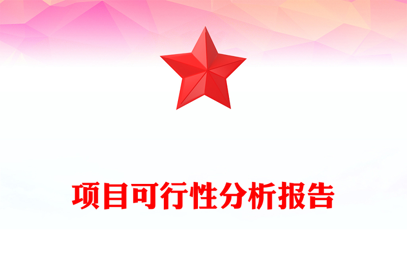 项目可行性分析报告