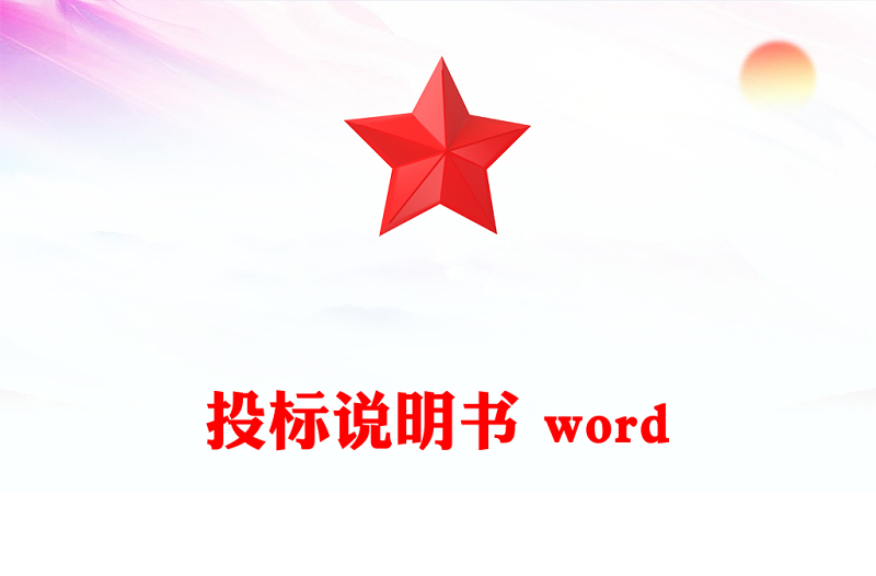 投标说明书 word