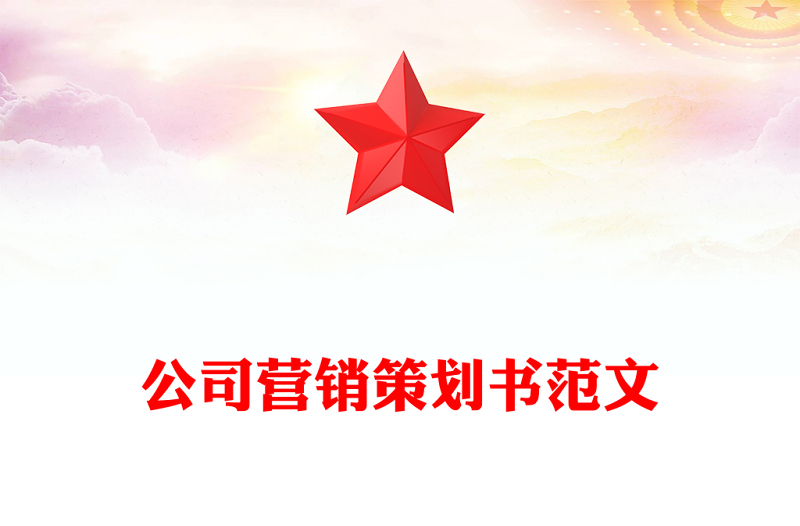 公司营销策划书范文