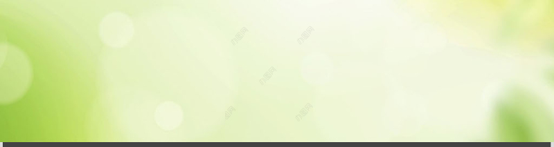 酸的化学性质PPT