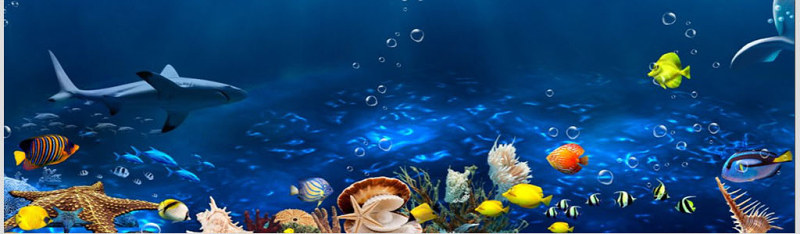 海底世界说课课件PPT