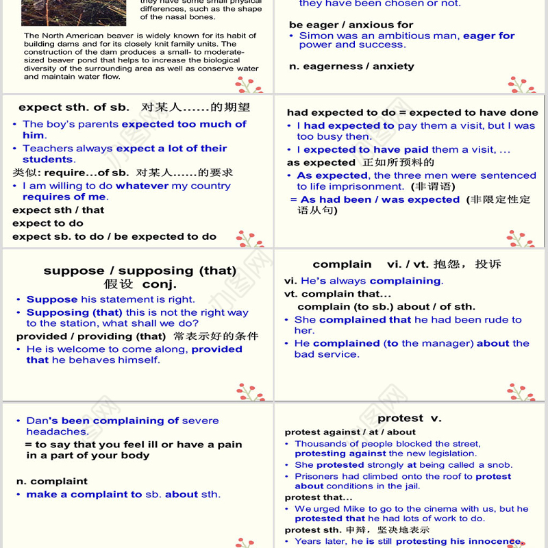 《大学英语课件》PPT