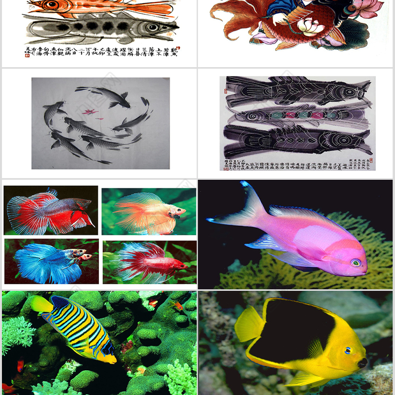 小学美术课件用彩墨画鱼ppt