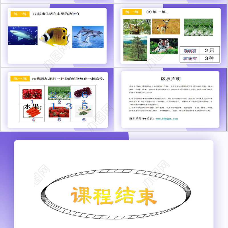 物体分类课件（新人教版一年级数学）PPT