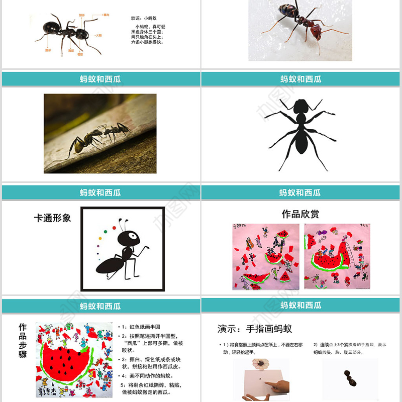 创意美术课程蚂蚁和西瓜ppt