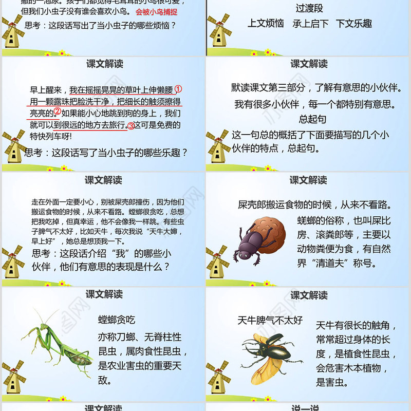 二年级语文下册课件我是一只小虫子PPT模板