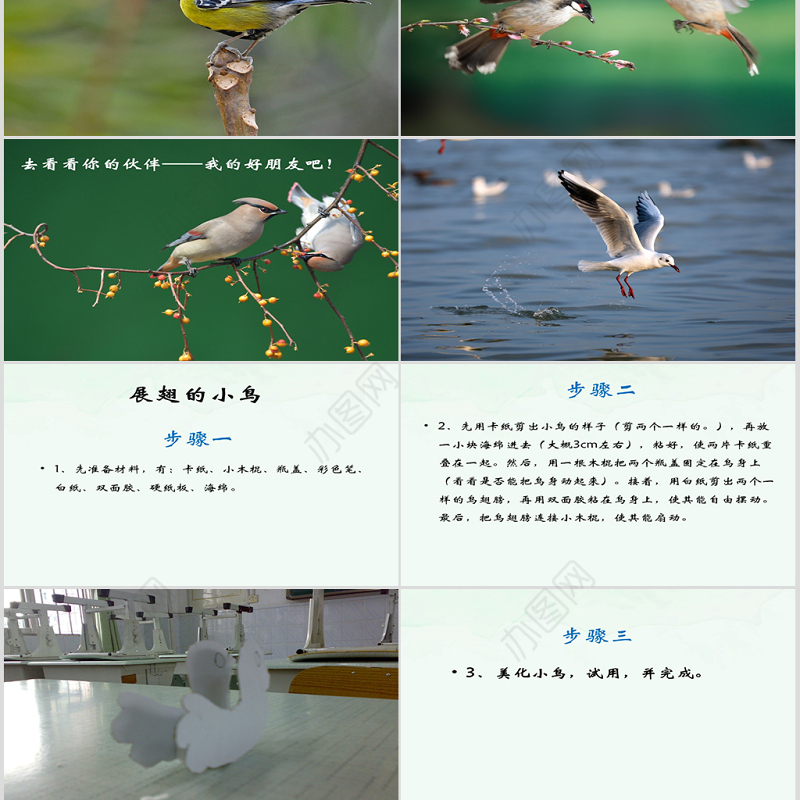 岭南版美术展翅的小鸟ppt