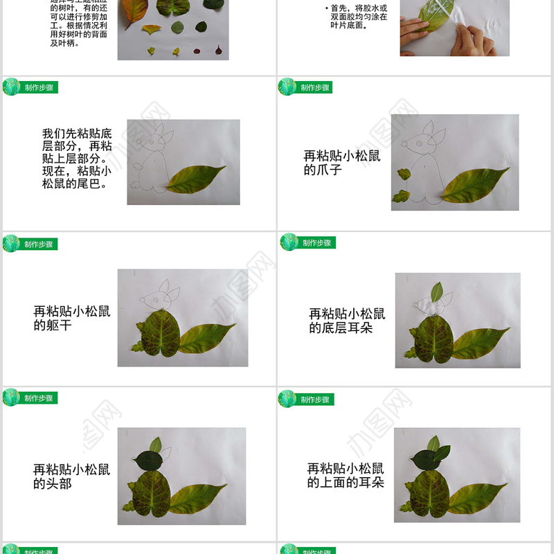 幼儿园中班“树叶粘贴画课件”制作课件ppt