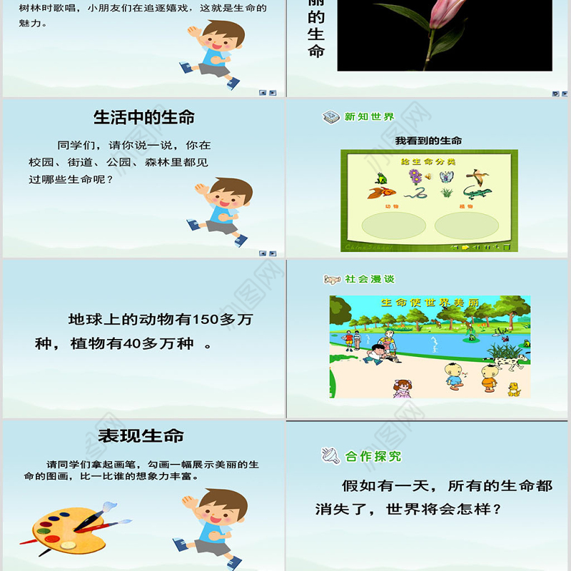 品德与社会四上美丽的生命PPT课件