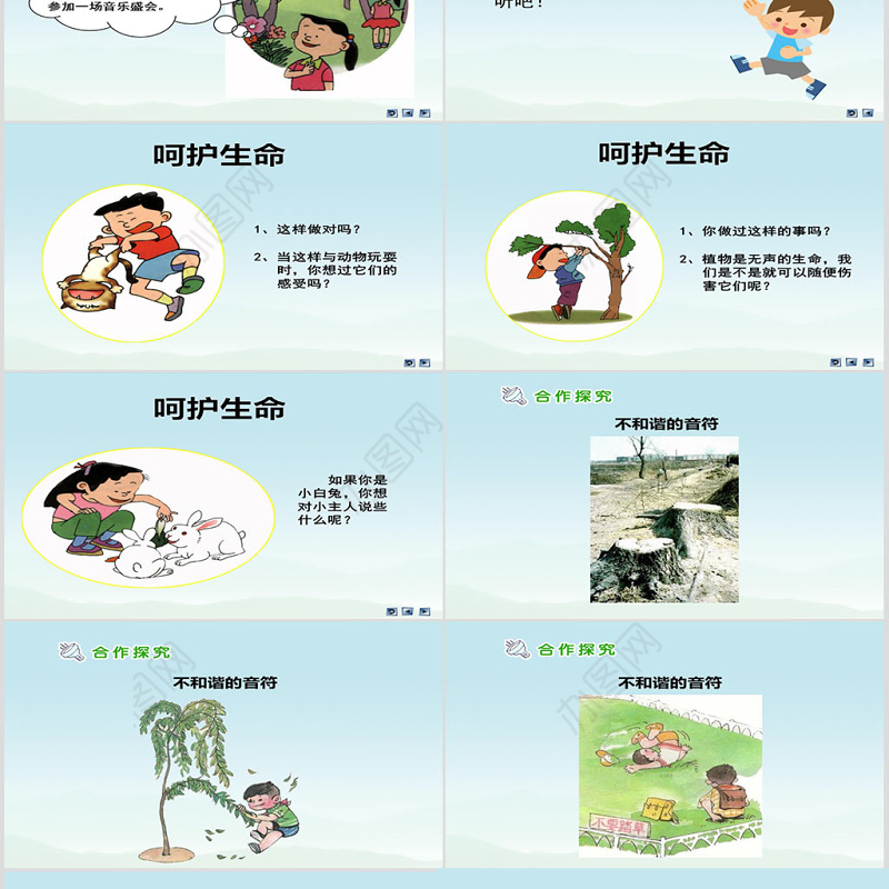 品德与社会四上美丽的生命PPT课件