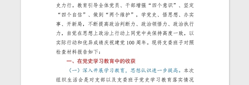 2021党史学习教育专题组织生活会党支部班子对照检查word文档