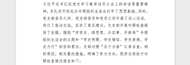 2021年机关党支部党史专题组织生活会五个方面班子对照检查word文档