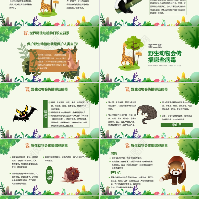 世界动物日PPT绿色卡通风关爱生命保护野生动物节日介绍通用模板