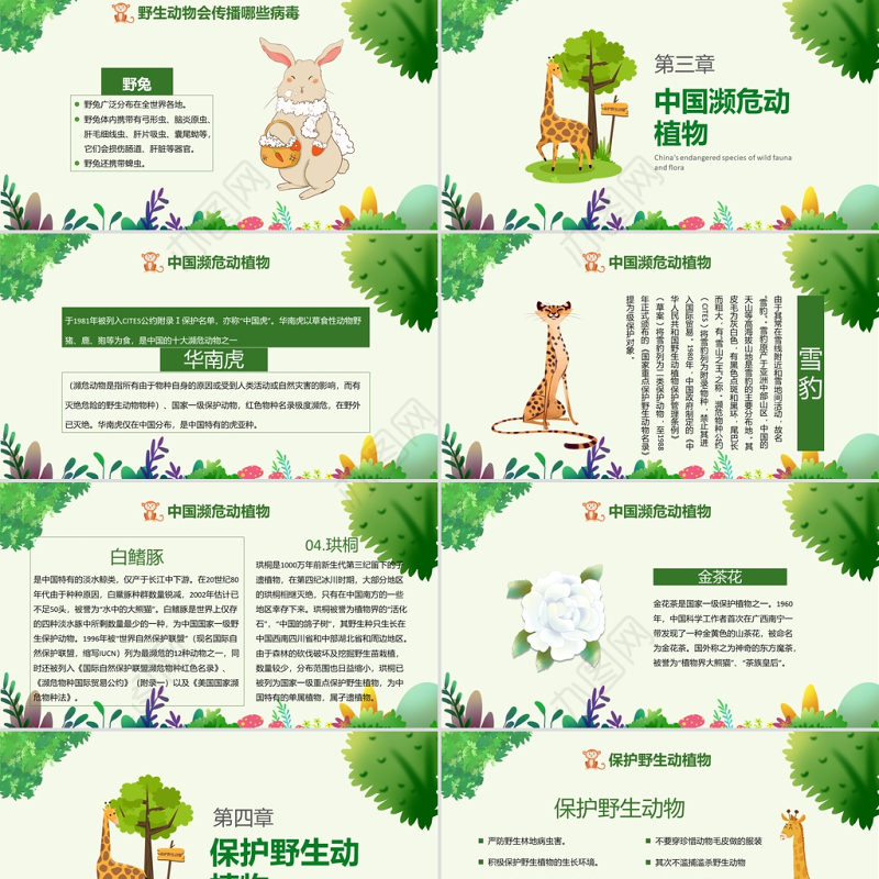 世界动物日PPT绿色卡通风关爱生命保护野生动物节日介绍通用模板