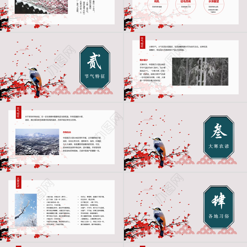 简约红杏二十四节气之大寒ppt