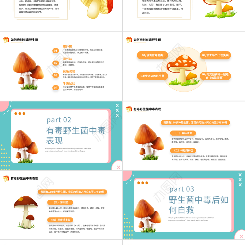 2022预防野生菌中毒PPT橙色简约风预防野生菌中毒宣传课件模板
