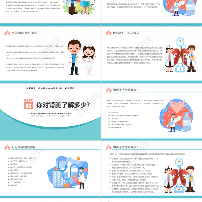 2022世界肾脏日PPT简约插画风关爱健康呵护肾脏专题课件模板