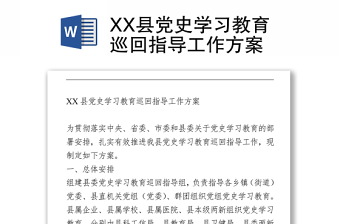 XX县党史学习教育巡回指导工作方案