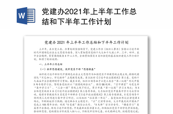 党建办2021年上半年工作总结和下半年工作计划