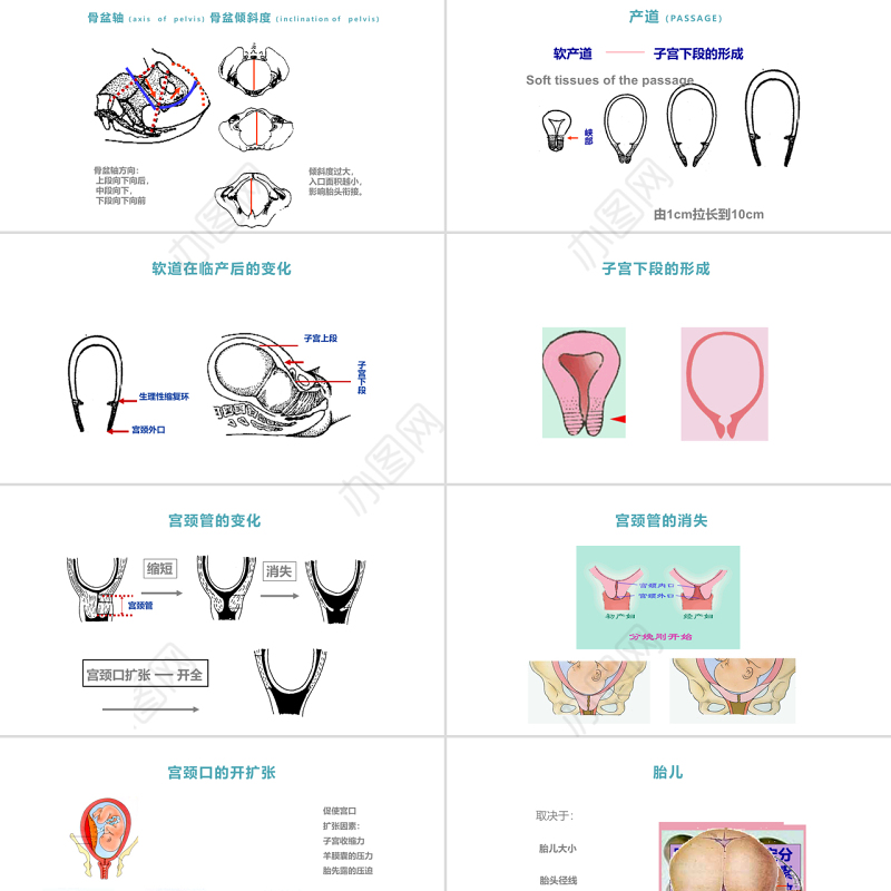 2022分娩期妇女护理产后护理母婴护理PPT温馨清新产后护理通用PPT