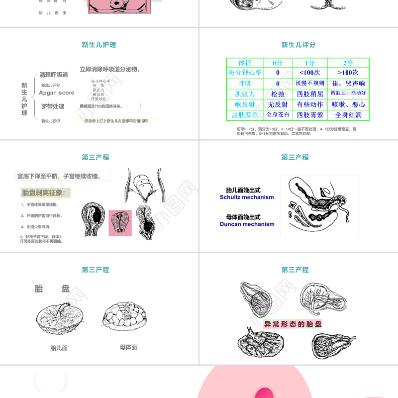 2022分娩期妇女护理产后护理母婴护理PPT温馨清新产后护理通用PPT