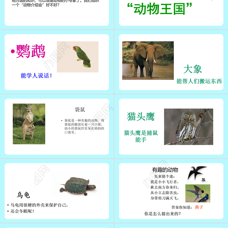 2022有趣的动物PPT清新创意口语交际小学二年级语文上册人教版教学课件