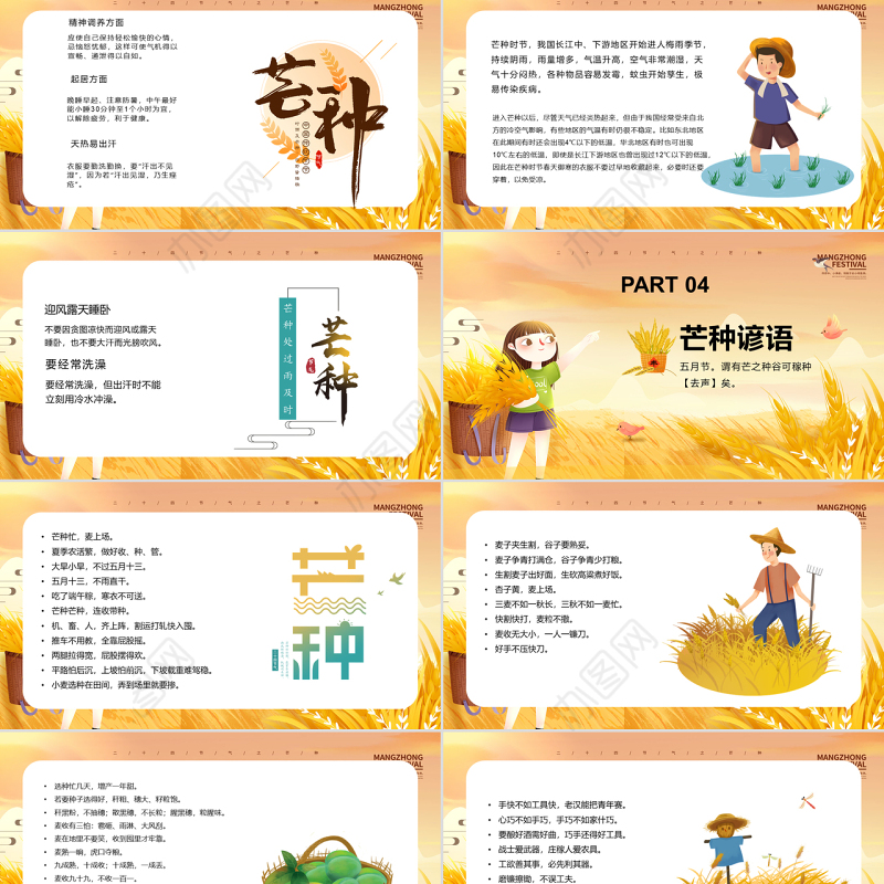 金黄简约传统节气芒种PPT课件