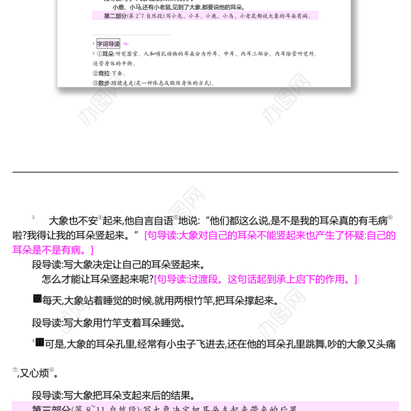 2022大象的耳朵教案课文第19课小学二年级语文下册部编人教版