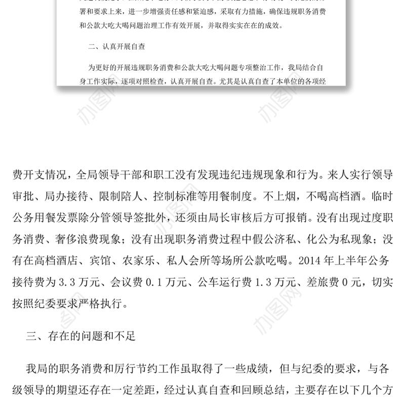 违规吃喝专项治理工作自查报告（九）
