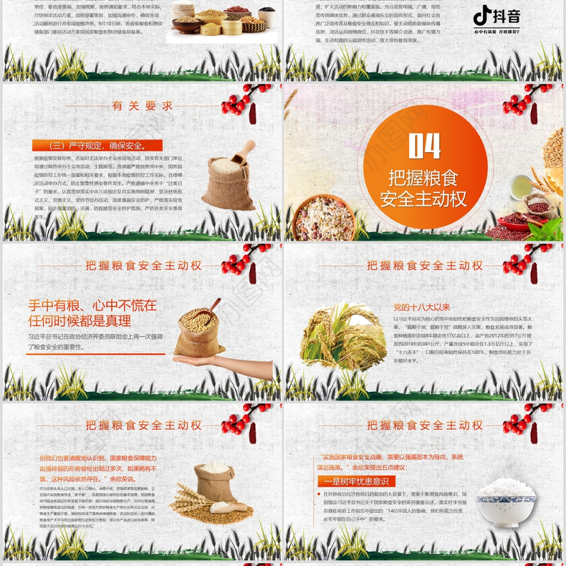 端牢中国饭碗共筑全球粮安世界粮食日宣传周PPT模板