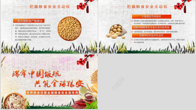 端牢中国饭碗共筑全球粮安世界粮食日宣传周PPT模板