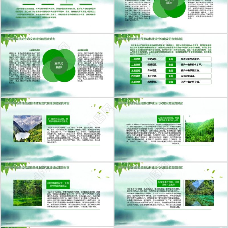 大力弘扬学习塞罕坝精神建设美丽中国PPT模板