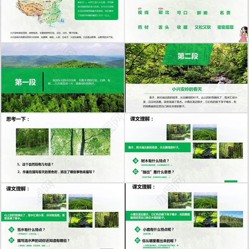 三年级语文美丽的小兴安岭课件PPT模板