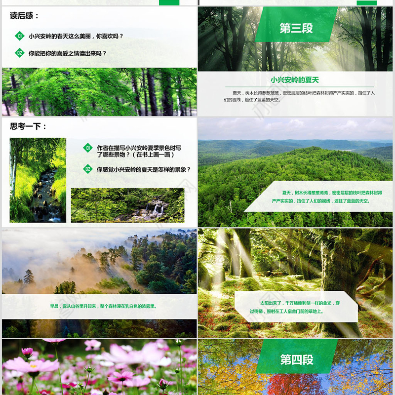 三年级语文美丽的小兴安岭课件PPT模板