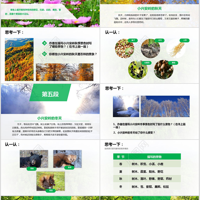 三年级语文美丽的小兴安岭课件PPT模板