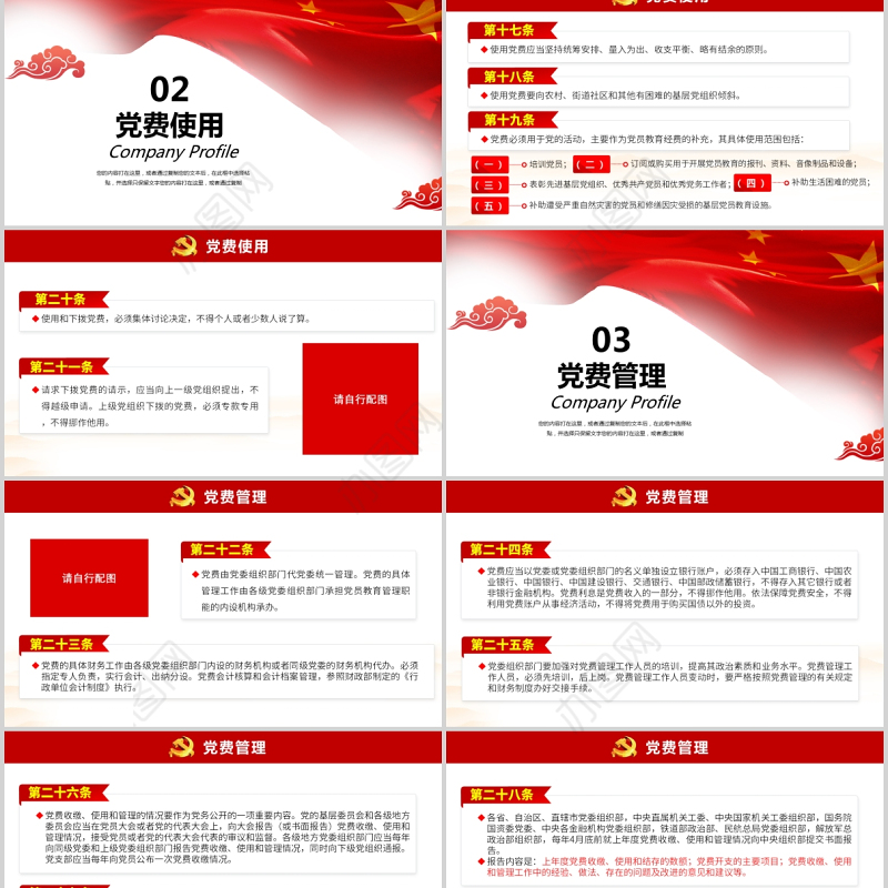 2021中国共产党党费收缴使用和管理的规定政府党政工作PPT模板