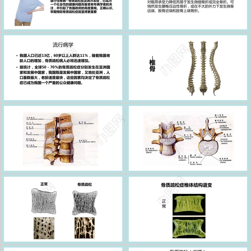 2021年10月20日世界骨质疏松日PPT极简时尚骨质疏松防治关注骨骼健康医疗科普知识宣传课件