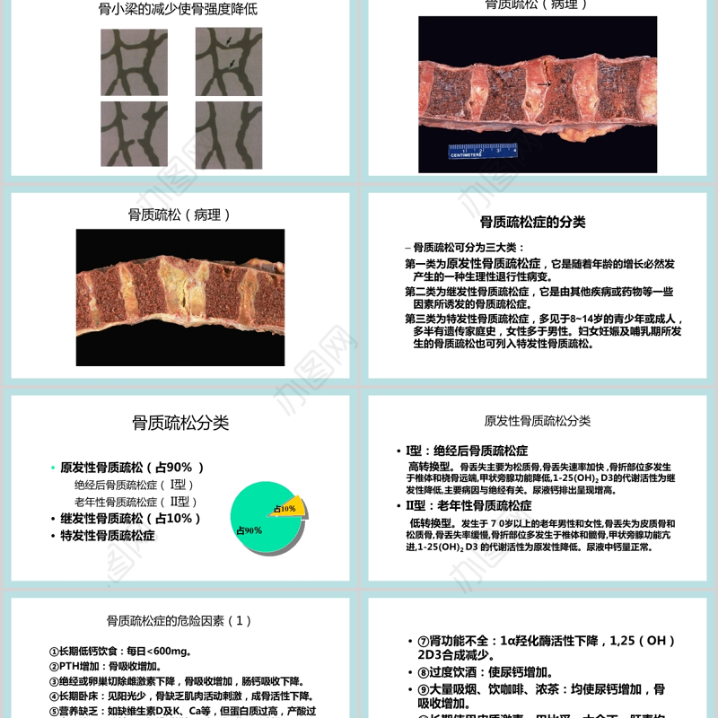 2021年10月20日世界骨质疏松日PPT极简时尚骨质疏松防治关注骨骼健康医疗科普知识宣传课件