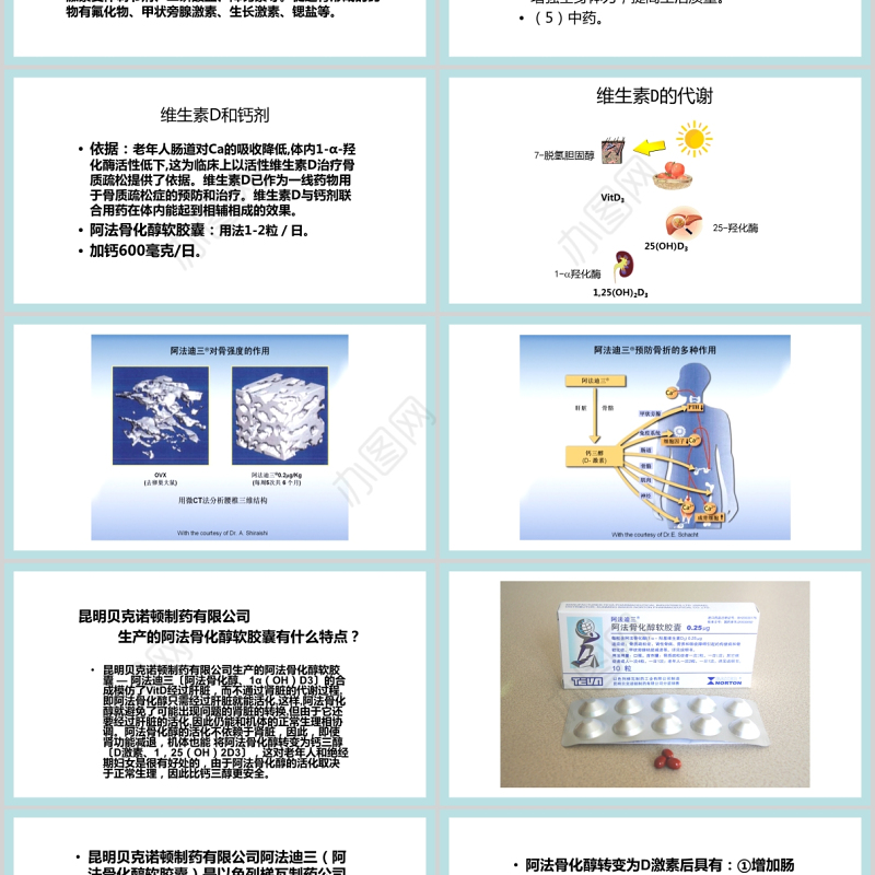 2021年10月20日世界骨质疏松日PPT极简时尚骨质疏松防治关注骨骼健康医疗科普知识宣传课件